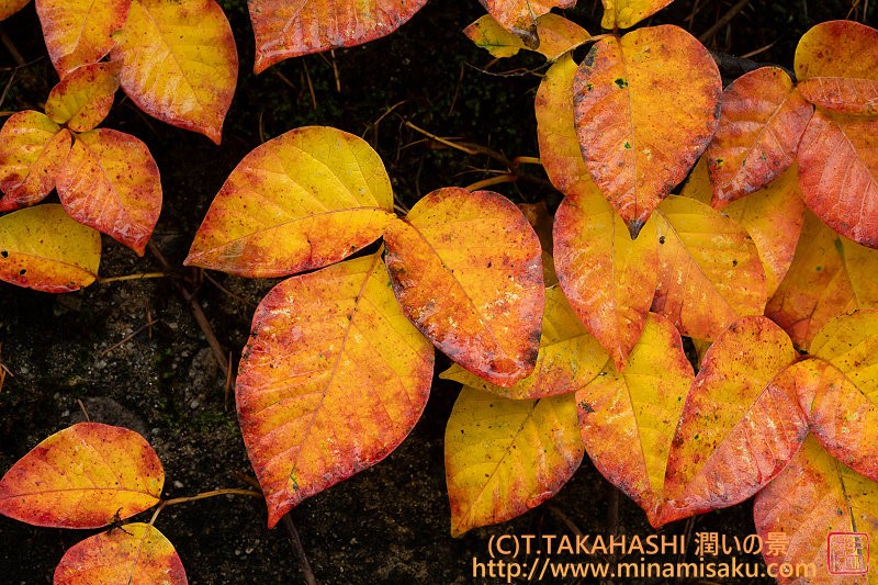 ../Images/7R251019 (29).jpg